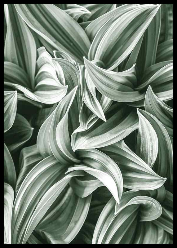 Bright Green Botanical No2-12