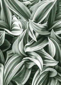 Bright Green Botanical No2-7