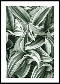 Bright Green Botanical No2-0