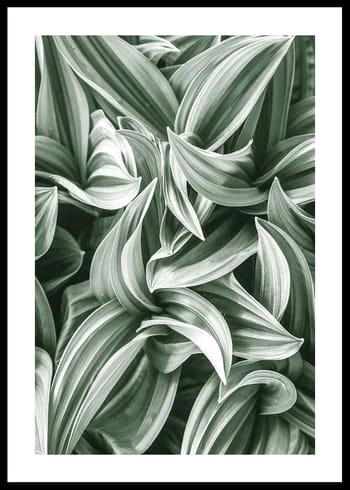 Poster Bright Green Botanical No2