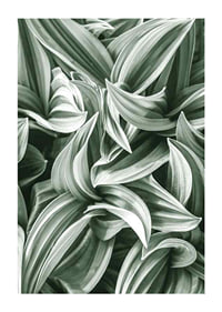 Bright Green Botanical No2-1