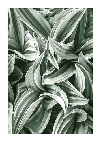 Plagát Bright Green Botanical No2