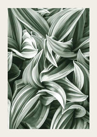 Bright Green Botanical No2-3