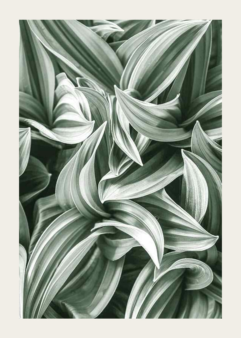 Bright Green Botanical No2-12