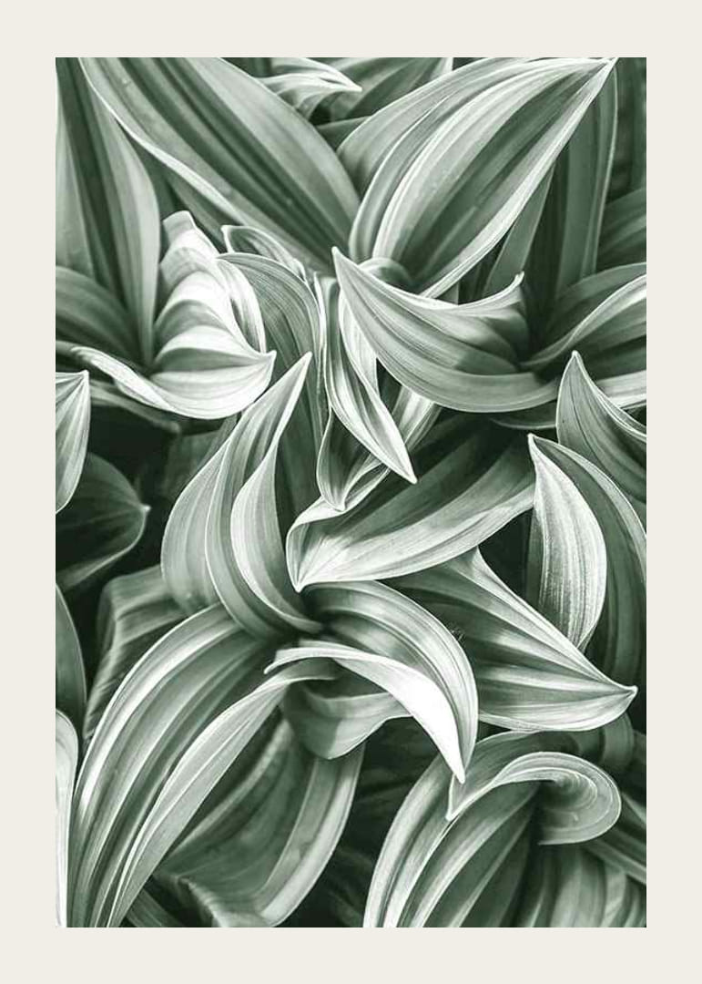 Bright Green Botanical No2-12