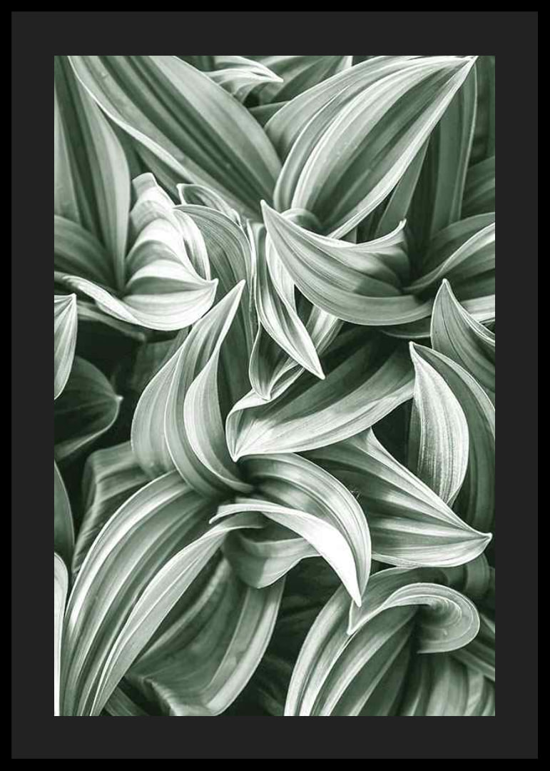 Bright Green Botanical No2-12