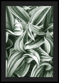 Bright Green Botanical No2-4