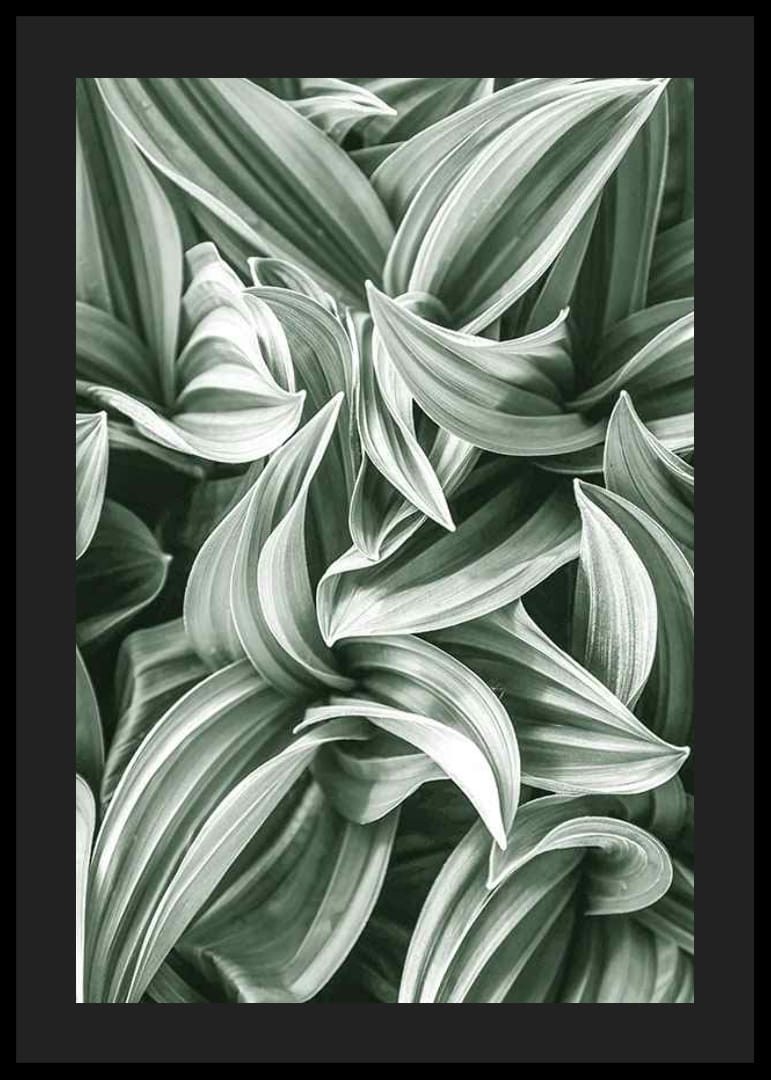 Bright Green Botanical No2-12