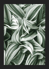 Bright Green Botanical No2-5