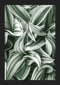 Bright Green Botanical No2-5