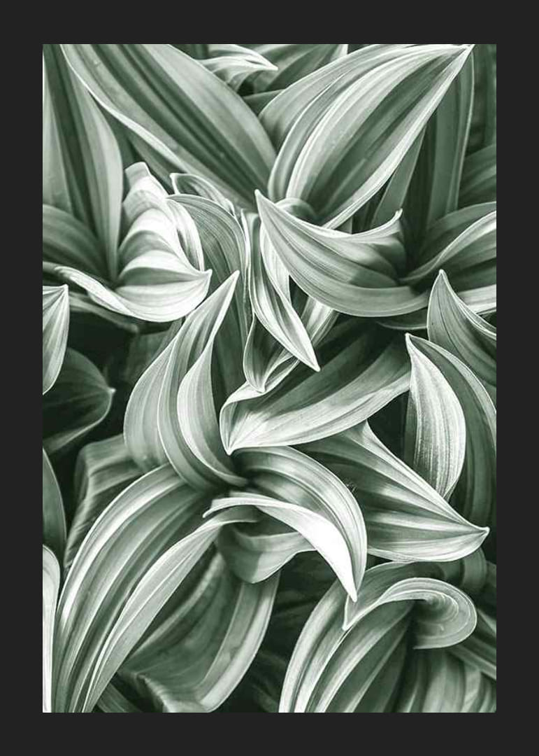 Bright Green Botanical No2-12