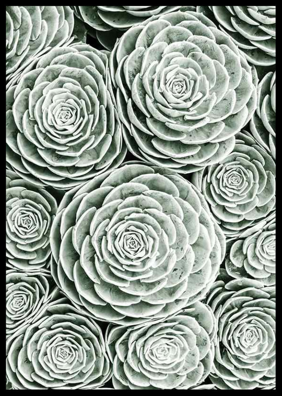 Bright Green Botanical No3-12