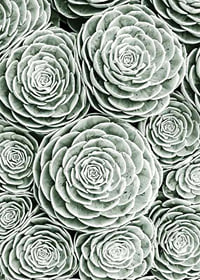 Bright Green Botanical No3-7