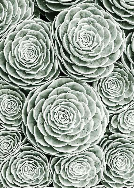 Bright Green Botanical No3-12