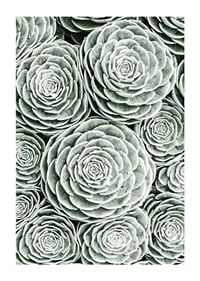 Bright Green Botanical No3-1