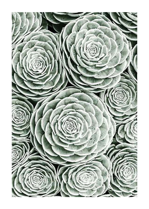 Juliste Bright Green Botanical No3