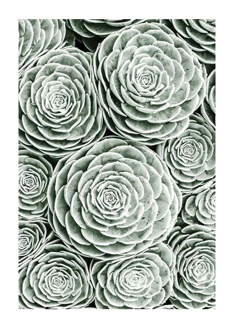 Bright Green Botanical No3-12