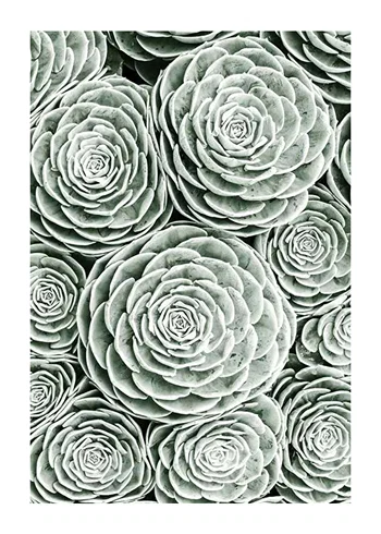 Poster Bright Green Botanical No3