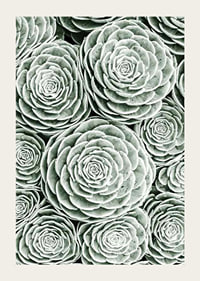 Bright Green Botanical No3-3