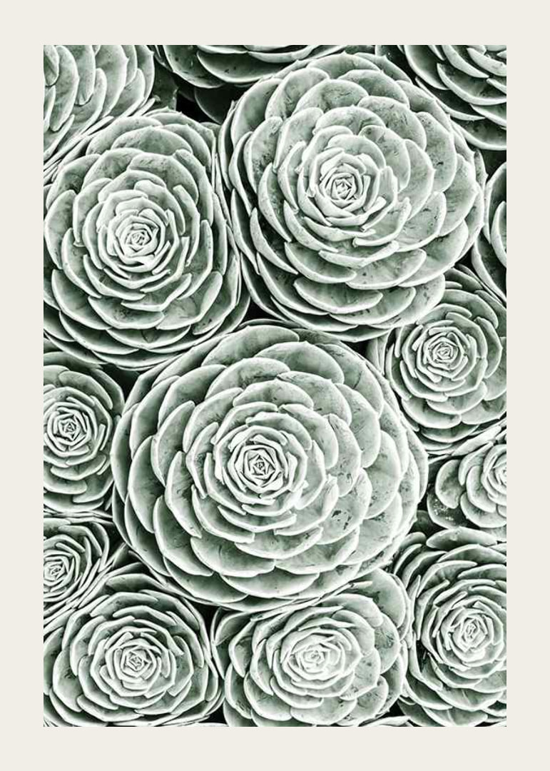 Bright Green Botanical No3-12