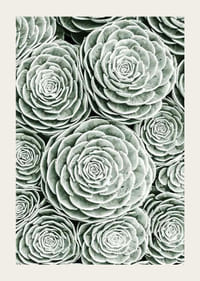 Bright Green Botanical No3-3