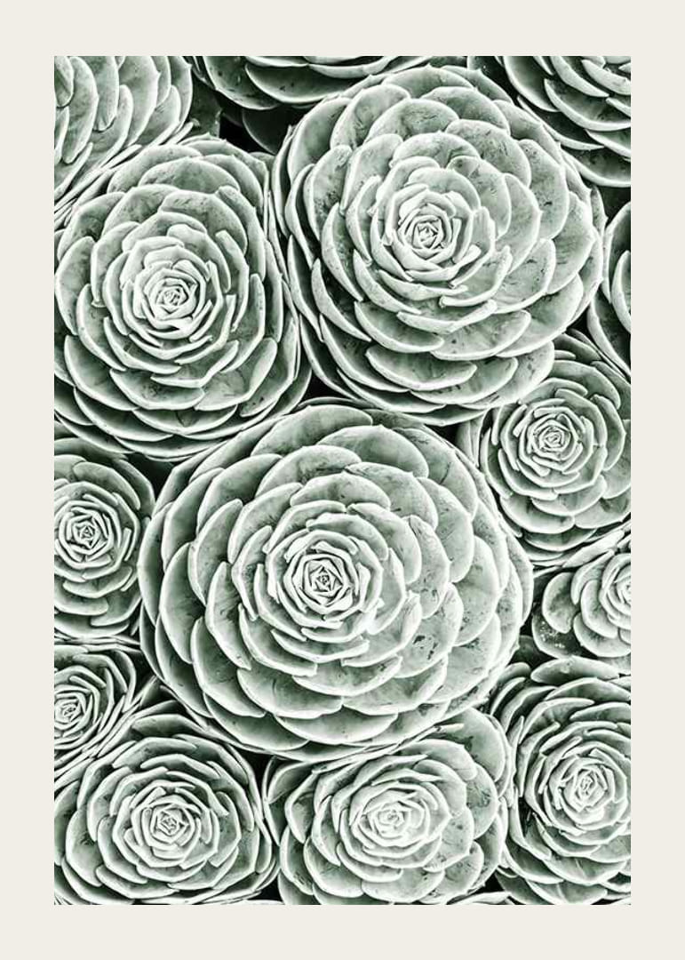 Bright Green Botanical No3-12