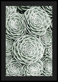 Bright Green Botanical No3-4
