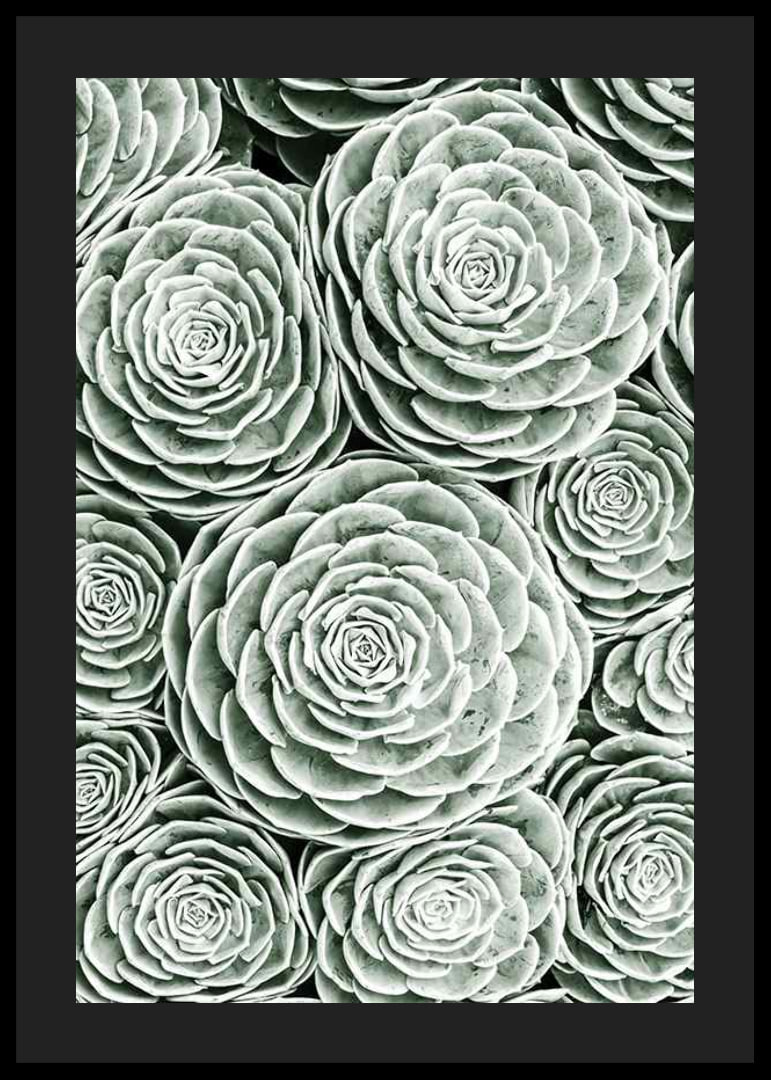 Bright Green Botanical No3-12