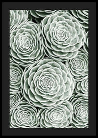 Bright Green Botanical No3-4