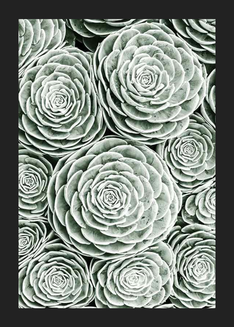 Bright Green Botanical No3-12