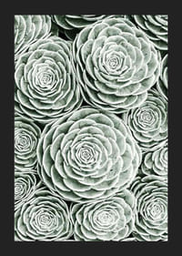 Bright Green Botanical No3-5