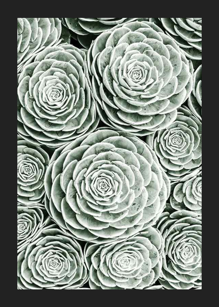 Bright Green Botanical No3-12