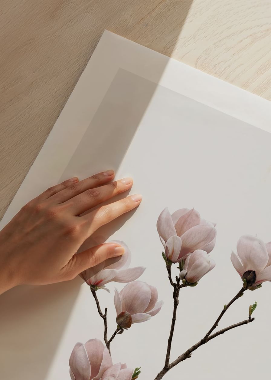 Magnolia Flower-12