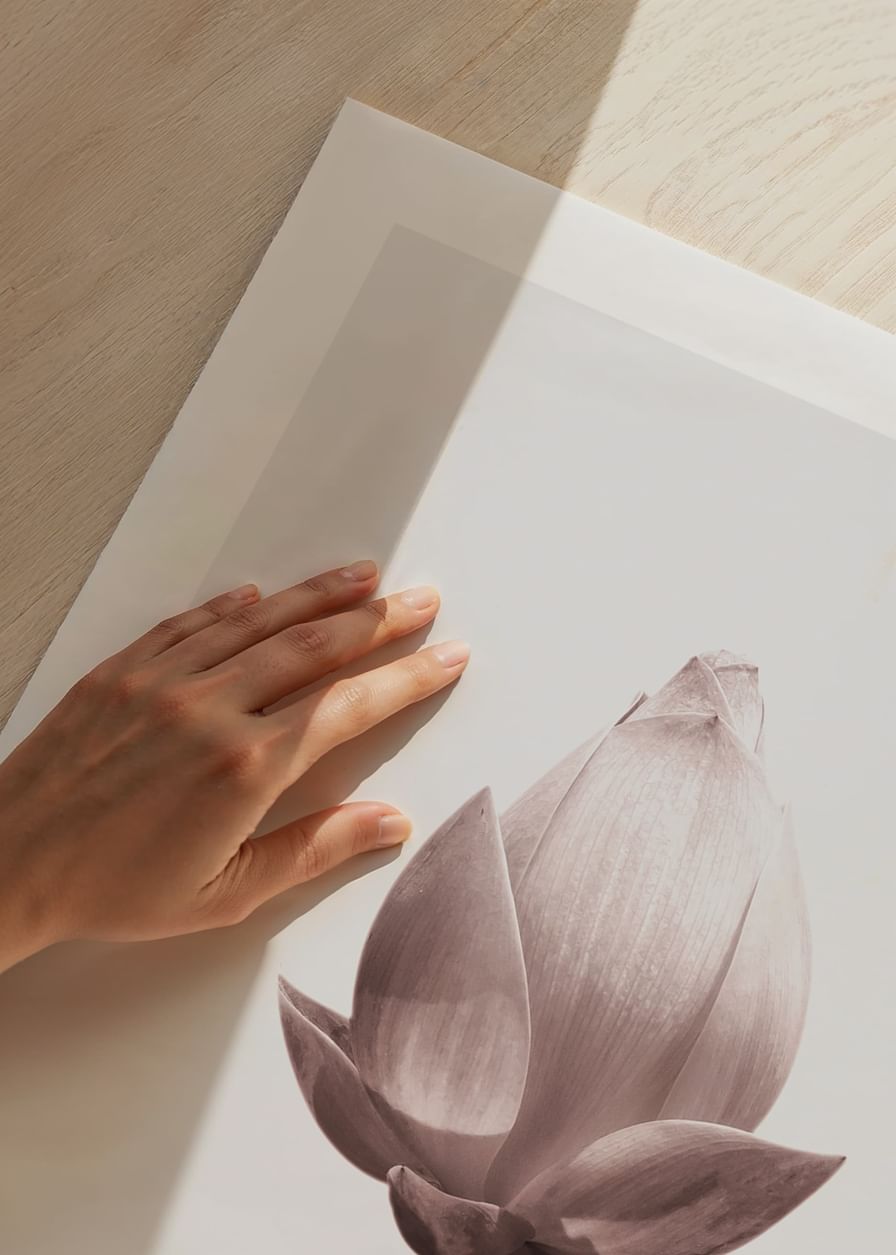 Lotus Flower-12