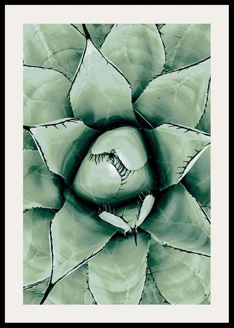 Agave Close Up No1-12