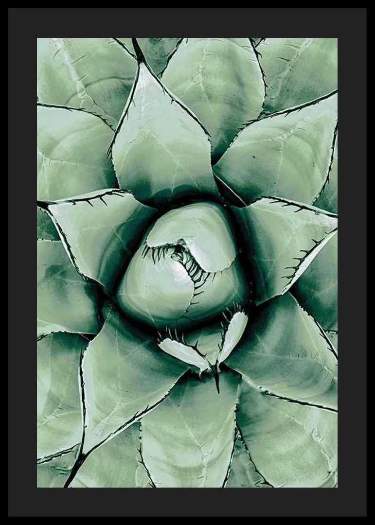 Agave Close Up No1-12