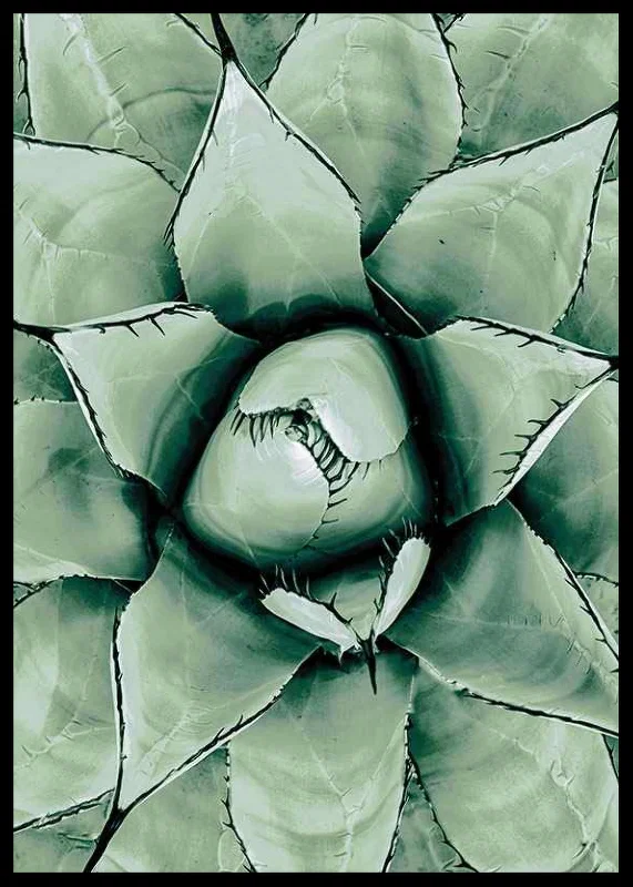 Agave Close Up No1-12