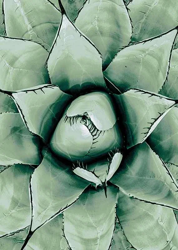 Agave Close Up No1-12