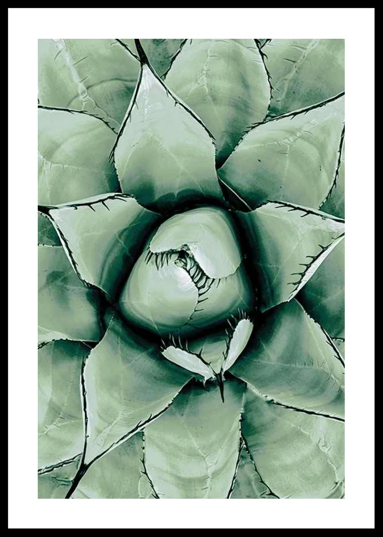 Agave Close Up No1-12
