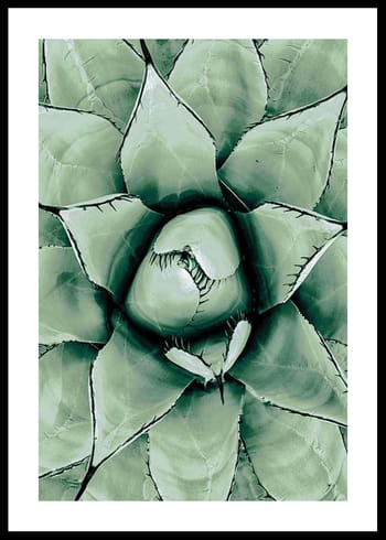Affiche Agave Close Up No1