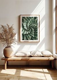 Agave Close Up No2-8
