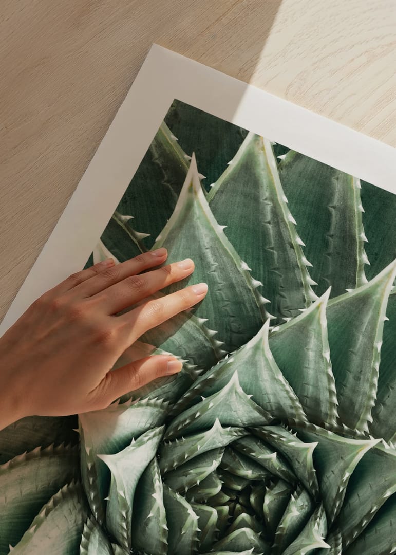 Agave Close Up No2 Poster | Botanical | Gallerix.ie
