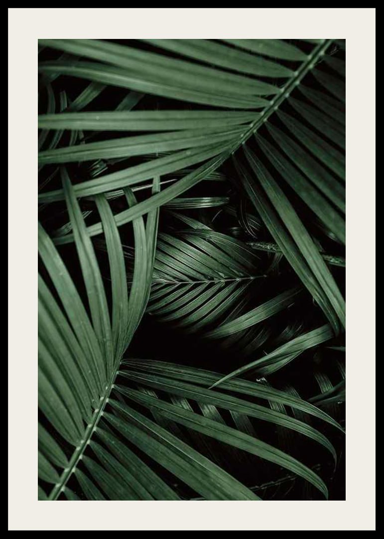 Intense Green No1-12