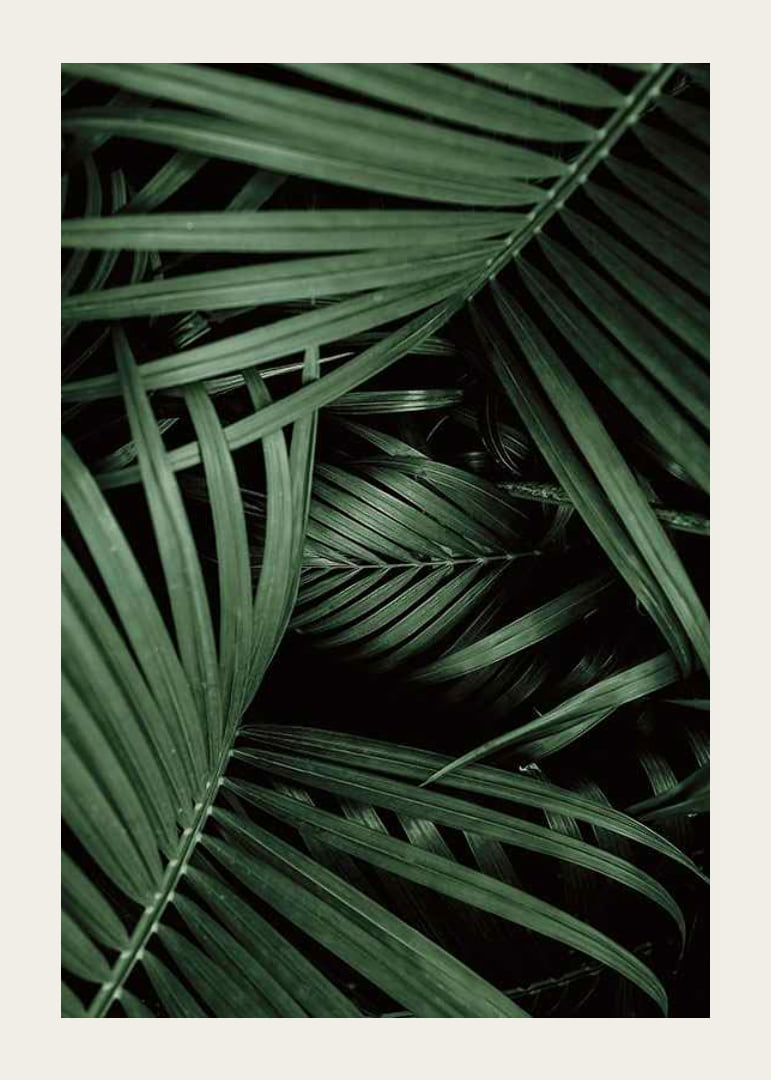 Intense Green No1-12