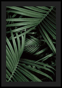 Intense Green No1-4