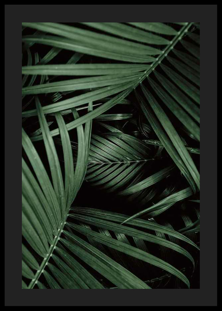 Intense Green No1-12