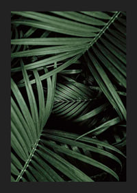 Intense Green No1-5
