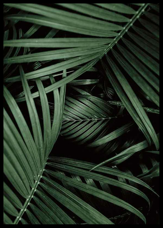 Intense Green No1-12