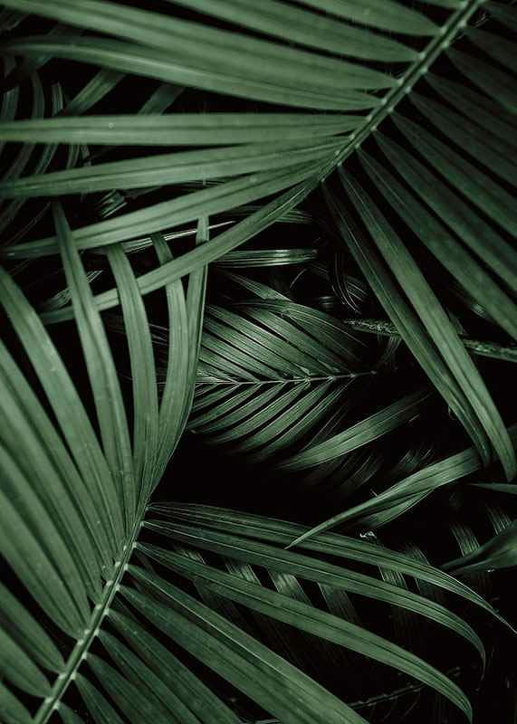 Intense Green No1-12