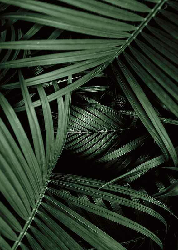 Intense Green No1-12